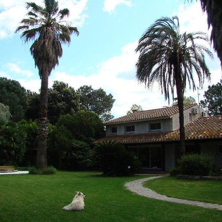 La Villa Saint Andre - Argeles Sur Mer Eksteriør billede