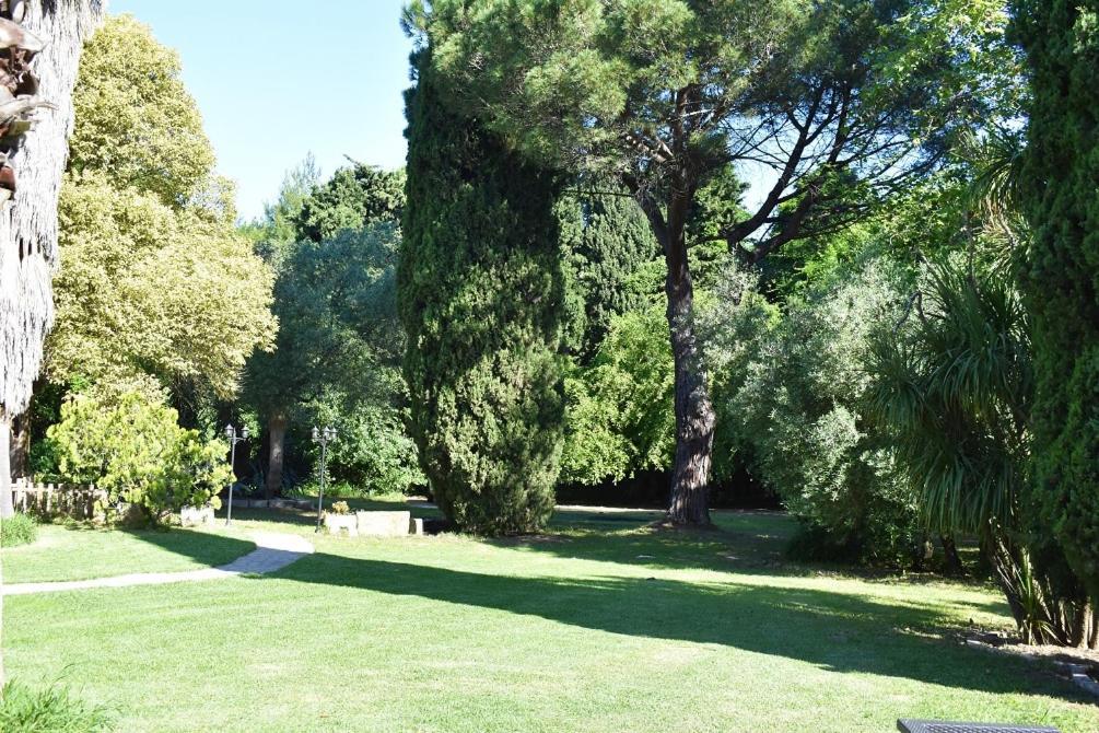 La Villa Saint Andre - Argeles Sur Mer Eksteriør billede