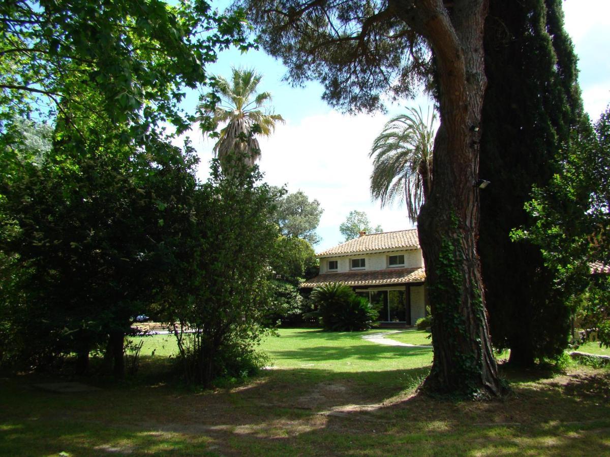 La Villa Saint Andre - Argeles Sur Mer Eksteriør billede